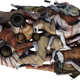 Artist’s reconstruction of the grave, showing how the bodies were positioned.